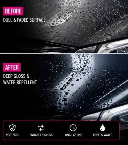 Flamingo Polymeric Coating Wax – Long Lasting Shine & Paint Protection (300ml)